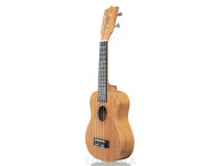 Tanglewood TWT1 Tanglewood TWT1